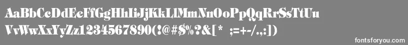 TiffanyHeavyBoldCn Font – White Fonts on Gray Background