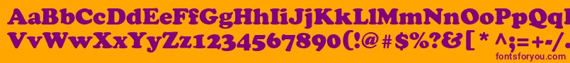 Cooper Font – Purple Fonts on Orange Background
