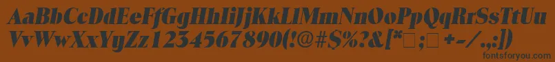 LocuraDisplaySsiItalic Font – Black Fonts on Brown Background