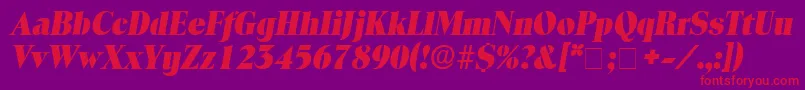 LocuraDisplaySsiItalic Font – Red Fonts on Purple Background