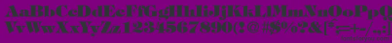 TiffanytwoheavyRegularDb Font – Black Fonts on Purple Background