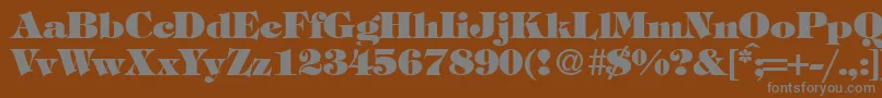 TiffanytwoheavyRegularDb Font – Gray Fonts on Brown Background