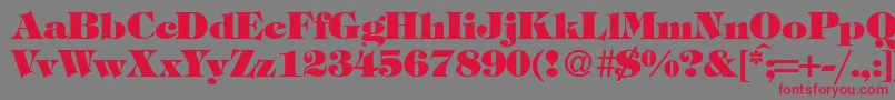 フォントTiffanytwoheavyRegularDb – 赤い文字の灰色の背景