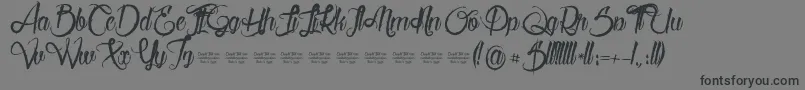 Serval Font – Black Fonts on Gray Background