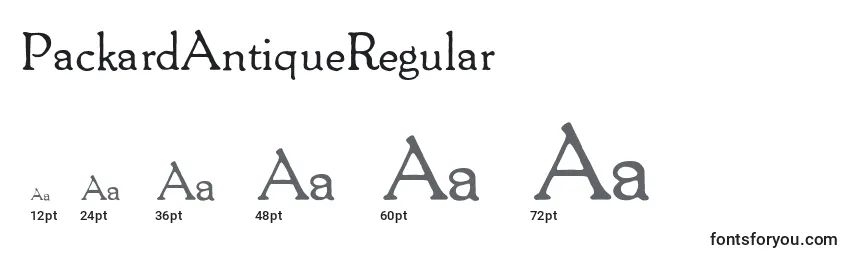 PackardAntiqueRegular Font Sizes