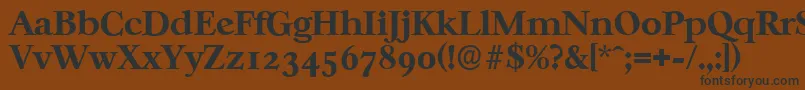 CasablancaserialXboldRegular Font – Black Fonts on Brown Background