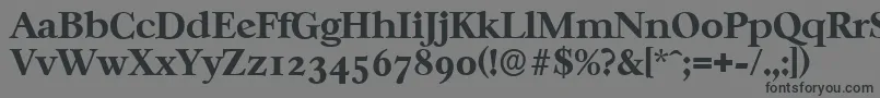 フォントCasablancaserialXboldRegular – 黒い文字の灰色の背景