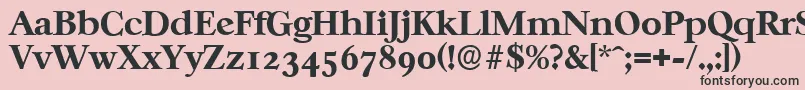 CasablancaserialXboldRegular Font – Black Fonts on Pink Background