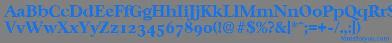 CasablancaserialXboldRegular-fontti – siniset fontit harmaalla taustalla
