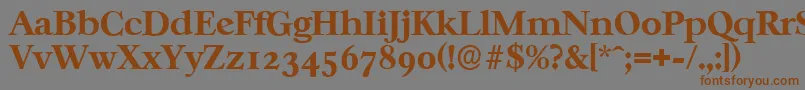 CasablancaserialXboldRegular-fontti – ruskeat fontit harmaalla taustalla
