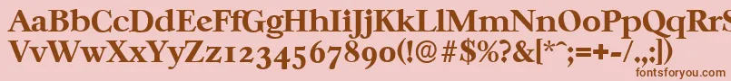 フォントCasablancaserialXboldRegular – ピンクの背景に茶色のフォント