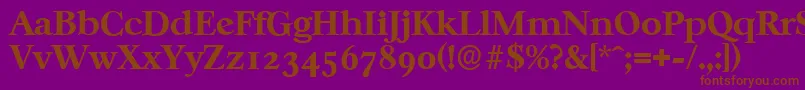 フォントCasablancaserialXboldRegular – 紫色の背景に茶色のフォント