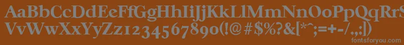 フォントCasablancaserialXboldRegular – 茶色の背景に灰色の文字