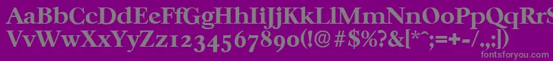 CasablancaserialXboldRegular-Schriftart – Graue Schriften auf violettem Hintergrund