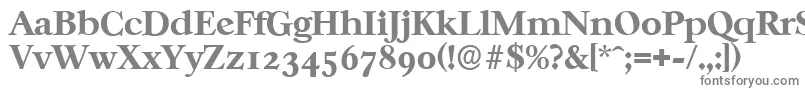 Шрифт CasablancaserialXboldRegular – серые шрифты