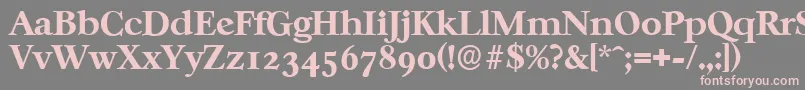フォントCasablancaserialXboldRegular – 灰色の背景にピンクのフォント
