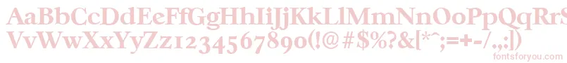 フォントCasablancaserialXboldRegular – ピンクのフォント