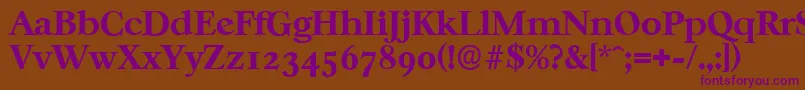 CasablancaserialXboldRegular-fontti – violetit fontit ruskealla taustalla