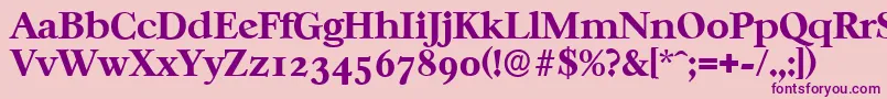 CasablancaserialXboldRegular-fontti – violetit fontit vaaleanpunaisella taustalla