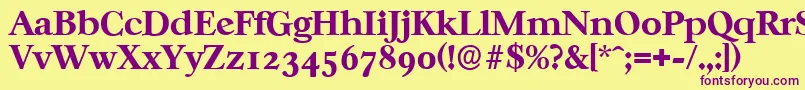 CasablancaserialXboldRegular Font – Purple Fonts on Yellow Background