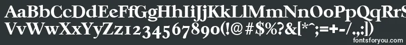 Шрифт CasablancaserialXboldRegular – белые шрифты на чёрном фоне