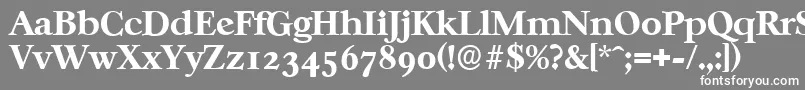 CasablancaserialXboldRegular-Schriftart – Weiße Schriften auf grauem Hintergrund