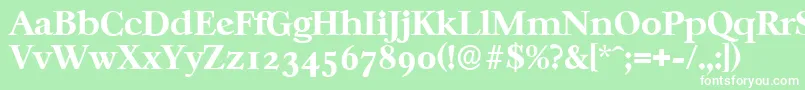 フォントCasablancaserialXboldRegular – 緑の背景に白い文字