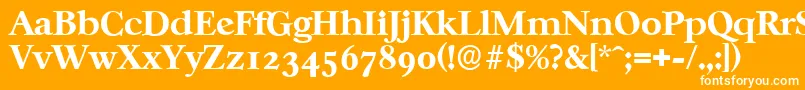 Шрифт CasablancaserialXboldRegular – белые шрифты на оранжевом фоне