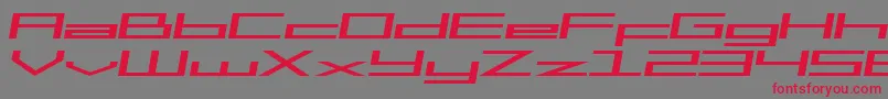 フォントSfSquareHeadExtendedItalic – 赤い文字の灰色の背景