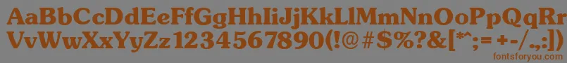 SunsetserialXboldRegular Font – Brown Fonts on Gray Background