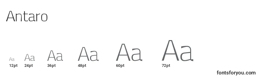 Размеры шрифта Antaro (117856)