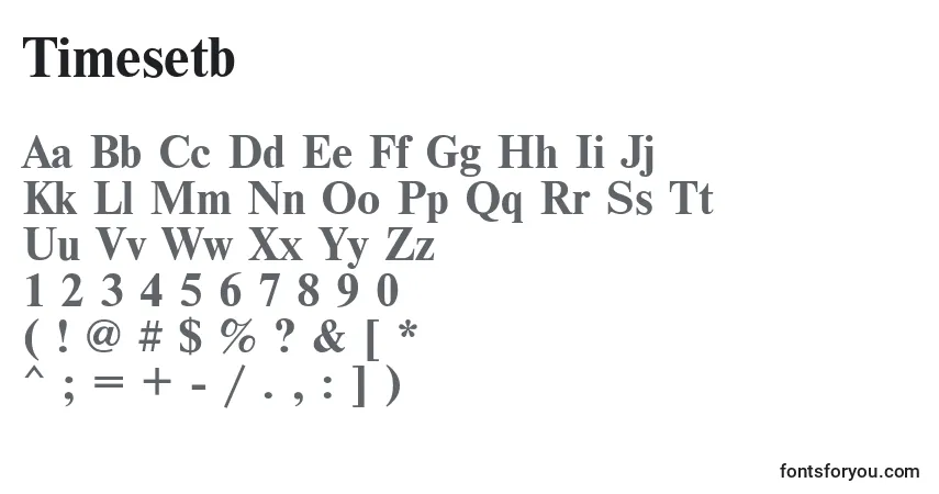 Schriftart Timesetb – Alphabet, Zahlen, spezielle Symbole