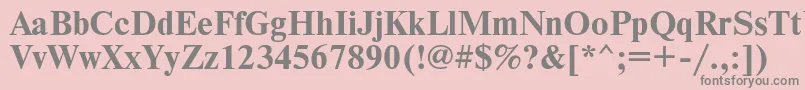 フォントTimesetb – ピンクの背景に灰色の文字