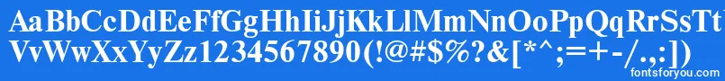 フォントTimesetb – 青い背景に白い文字