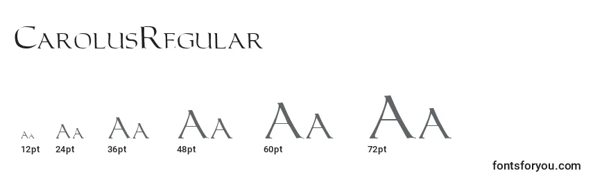 Размеры шрифта CarolusRegular