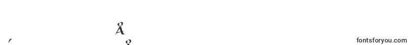 BraganzaScItc-Schriftart – chinesische Schriften (vereinfacht)