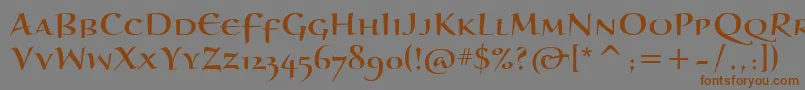BraganzaScItc Font – Brown Fonts on Gray Background