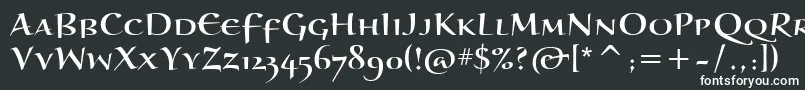 Шрифт BraganzaScItc – белые шрифты на чёрном фоне