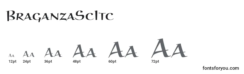 Размеры шрифта BraganzaScItc