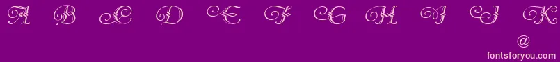 VergennesDemo-Schriftart – Rosa Schriften auf violettem Hintergrund