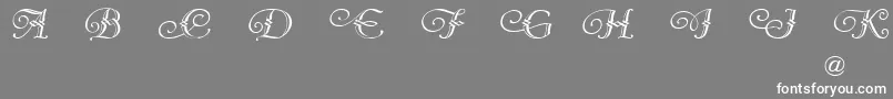 VergennesDemo Font – White Fonts on Gray Background