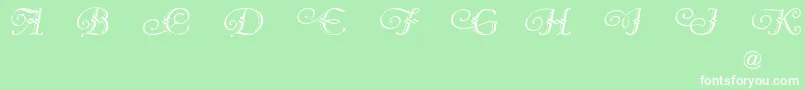 VergennesDemo Font – White Fonts on Green Background