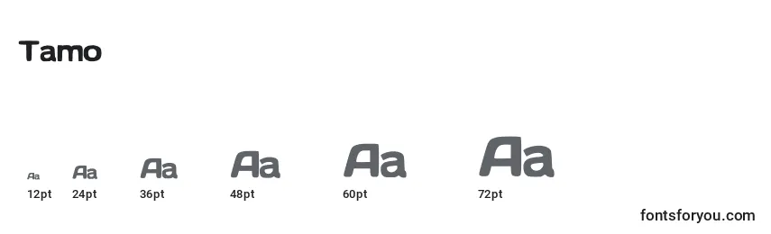 Tamo Font Sizes