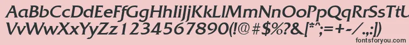 QuadratRegularita Font – Black Fonts on Pink Background