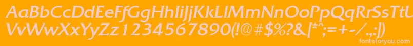 QuadratRegularita Font – Pink Fonts on Orange Background