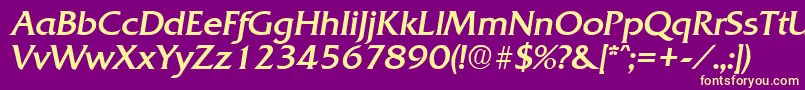 QuadratRegularita Font – Yellow Fonts on Purple Background