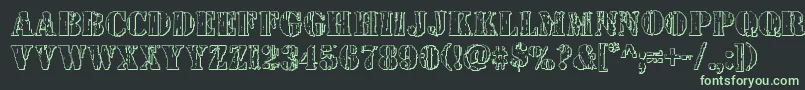 Wetworks3D Font – Green Fonts on Black Background