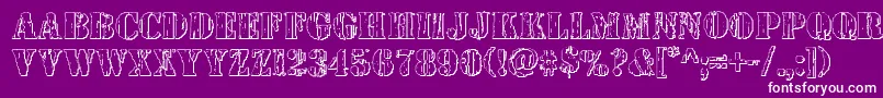 Wetworks3D Font – White Fonts on Purple Background