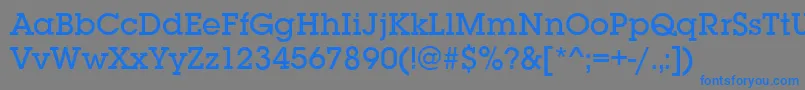 SquareserifMediumRegular Font – Blue Fonts on Gray Background