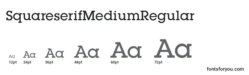 Размеры шрифта SquareserifMediumRegular